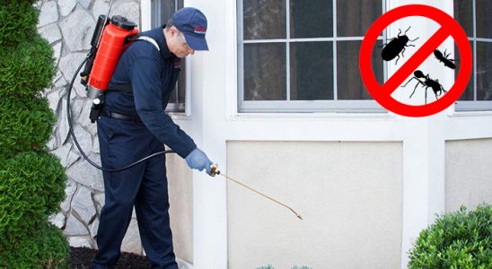 Gevaş Böcek İlaçlama böcek ilaçlama ve haşere kontrolü — ilaclama-tr.com